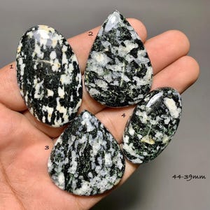 Può includere: Quattro gemme cabochon lucidate con un motivo maculato bianco e nero. Le pietre sono numerate da 1 a 4, con forme ovali e a goccia. Il testo 44-39mm è visibile nell'angolo in basso a destra, indicando l'intervallo di dimensioni.