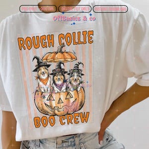 May include: A white t-shirt featuring a graphic of three Rough Collie dogs wearing witch hats, sitting inside a large orange pumpkin. The text above reads ROUGH COLLIE and the text below reads BOO CREW in orange letters against a striped background.
