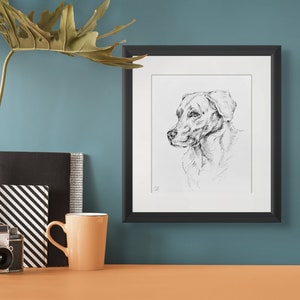 Graphic Sketch Dog Labrador Retriever - Handmade, Original Artwork, Not a Print