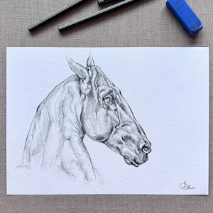 Pencil Sketch Horse Equestrian Original Authentic Artwork Handmade