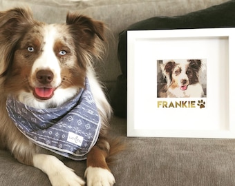 Custom Pet Portrait with Gold Foil Name: Personalized Pet Memorial