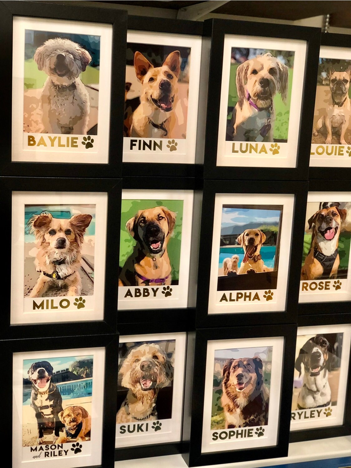 gallery photo