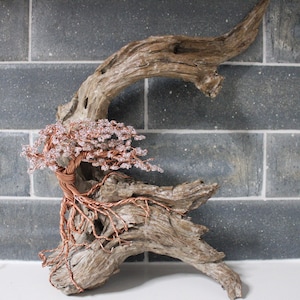Bonsai Tree