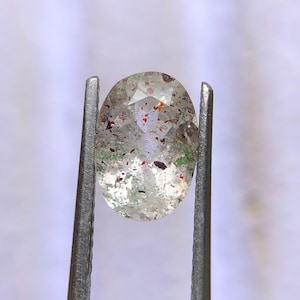 以下が含まれることがあります： 金属製のピンセットで保持された楕円形の宝石。透明な宝石には、赤、緑、黒のインクルージョンが含まれています。これらのインクルージョンは散在しており、ユニークなパターンを作り出しています。研磨された宝石は滑らかな表面を持っています。