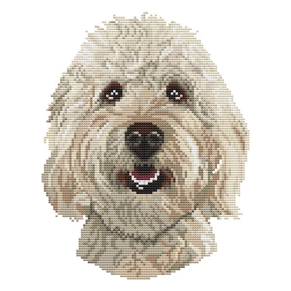 Cream goldendoodle dog counted cross stitch pattern pdf. Modern pet memorial gift for doodle dog mom dad. Digital file. AXS0359