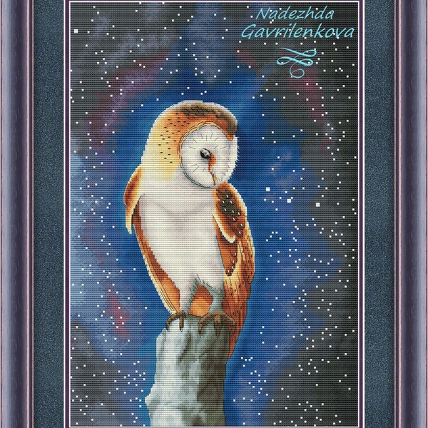 Night Owl. Cross Stitch Pattern. Cross Stitch Design. Digital. PDF. Saga. NadGavr 1085