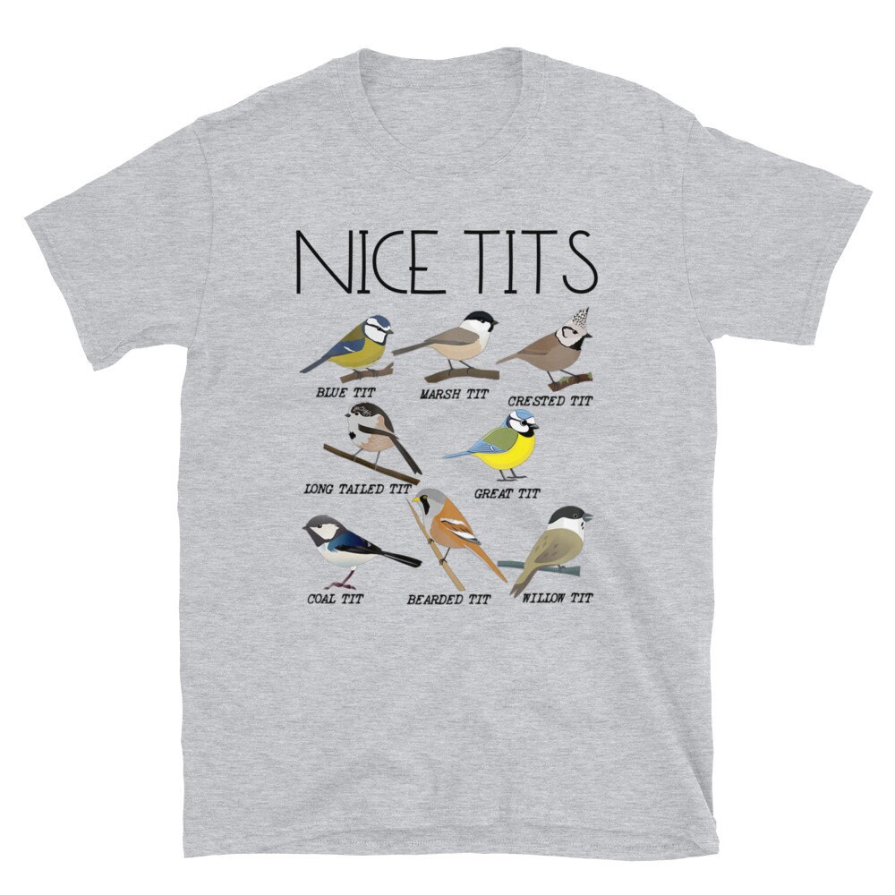 nice tits in shirt