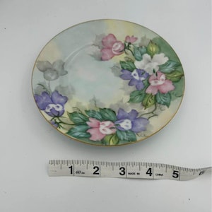 Beautiful Hand Painted Bavarian Plate Germany