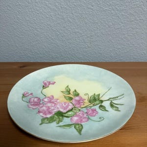 German Plate Hand Painted Vintage
