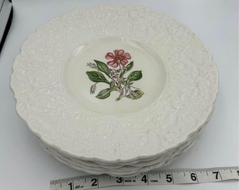 Set of 6 Royal Cauldron Bristol Ironstone England Vintage Woodstock Luncheon Plates