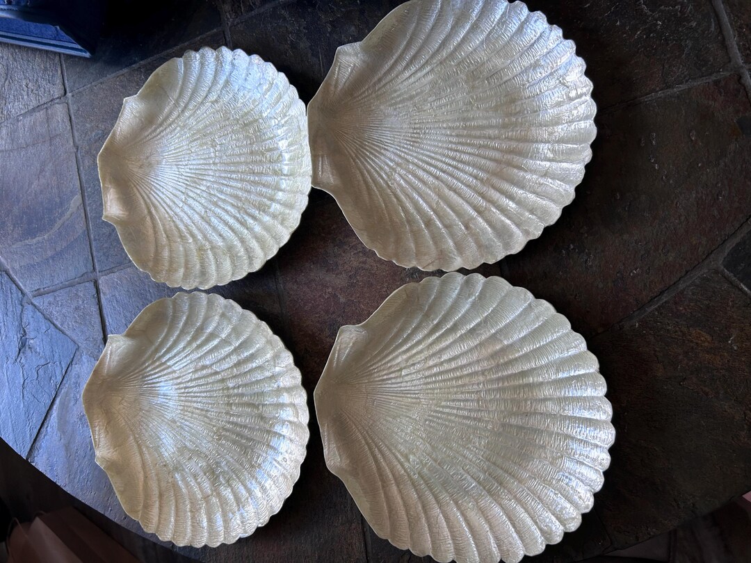 Vintage Set of 4 Cappa Shell Plates Real Shells - Etsy