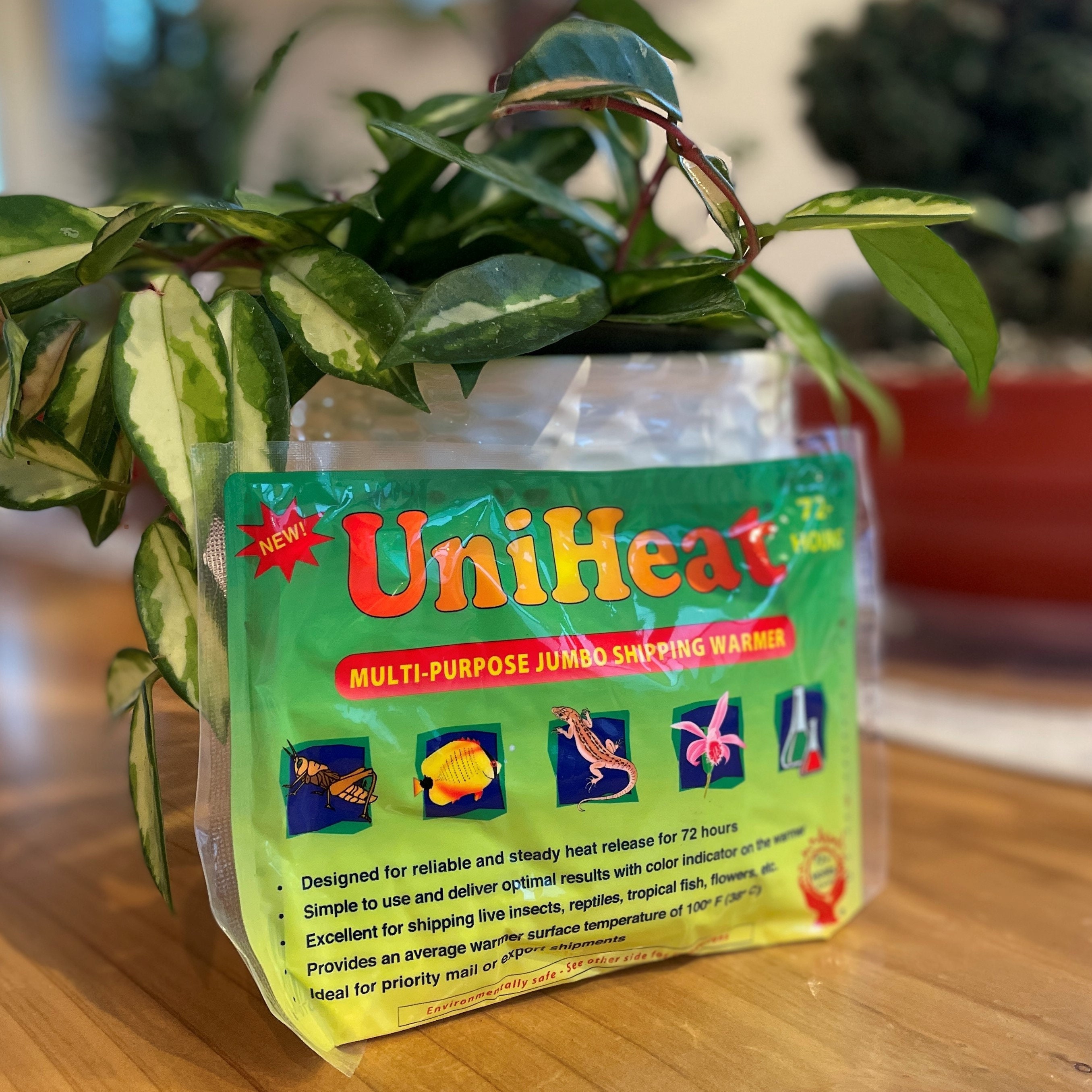 Plants Heat Pack Shipping AddOn for Plant Delivery Outdoor & Gardening