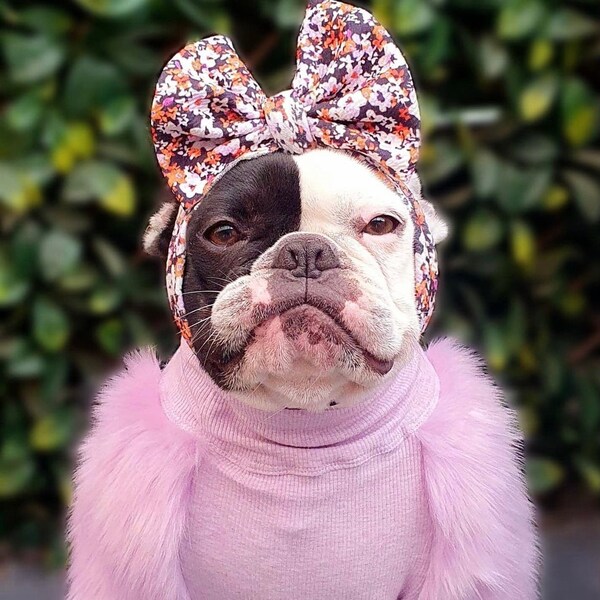Dog Headband - Etsy