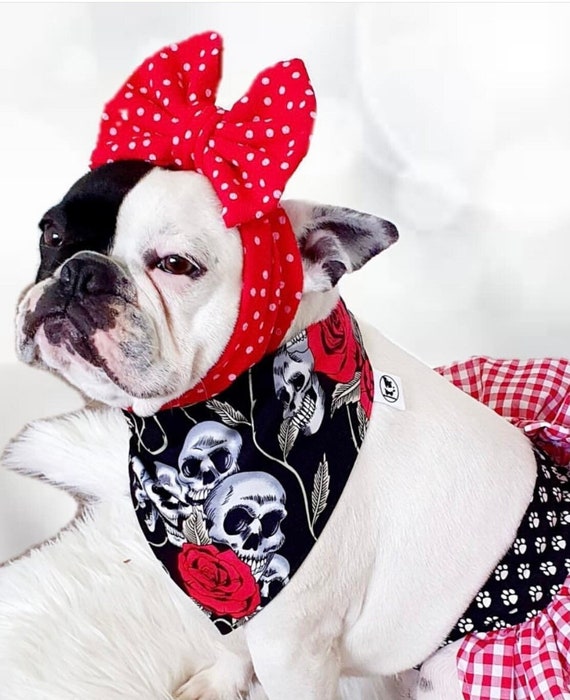 dog head accessories