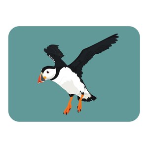 May include: A cartoon illustration of a puffin in flight. The bird has black wings and back, a white belly, and a large orange and red beak. Its orange feet are extended, and it is set against a teal background.