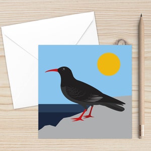 Bird Art, Chough, Cornwall, Blank Cards, Greeting Card, Any Occasion Card, Cliffs