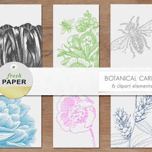 Digital floral journal cards, floral journal cards, floral clipart, flower clipart, botanical clipart, journal cards, atc cards