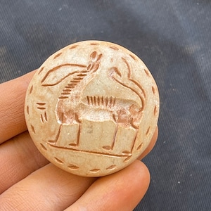 Splendide incisioni di animali in pietra antica del Vicino Oriente, raro, meraviglioso, adorabile timbro con sigillo, amuleto