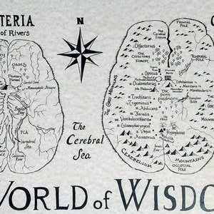 Brain hand drawn map