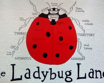 Ladybug map