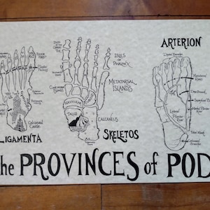 Foot anatomy map hand drawn