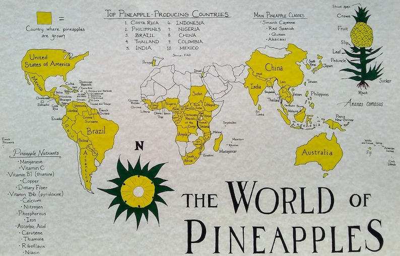 Pineapple Map Etsy