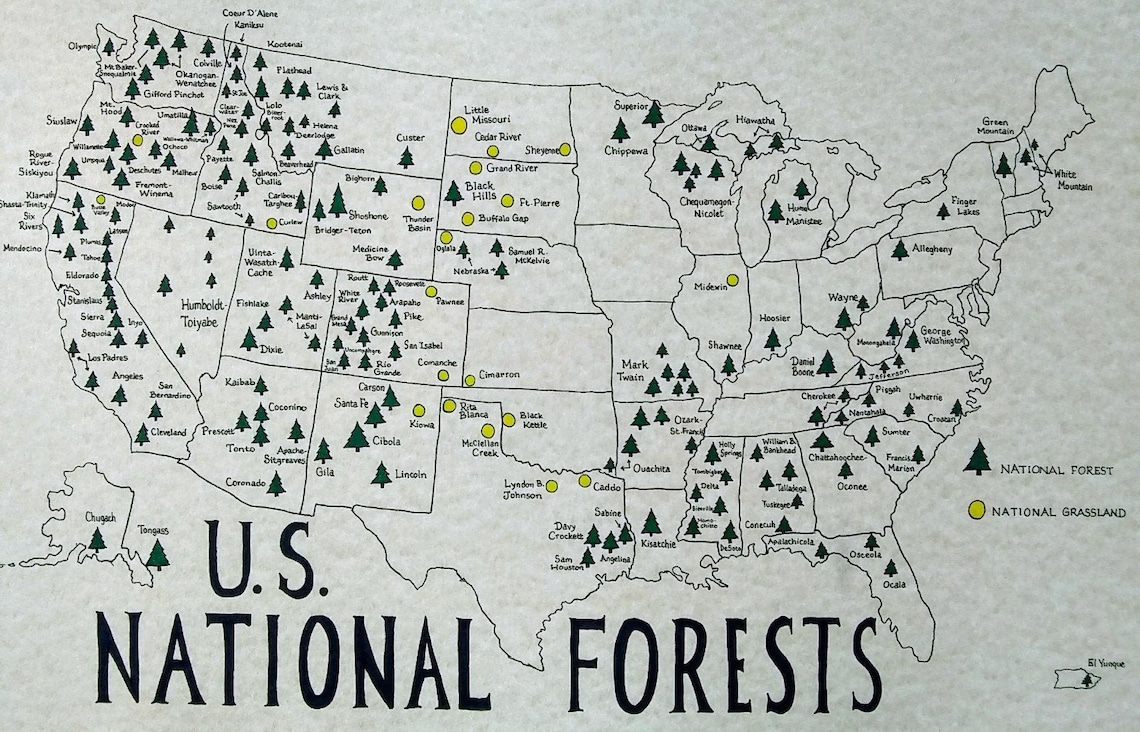 U.S. National Forests Map Etsy