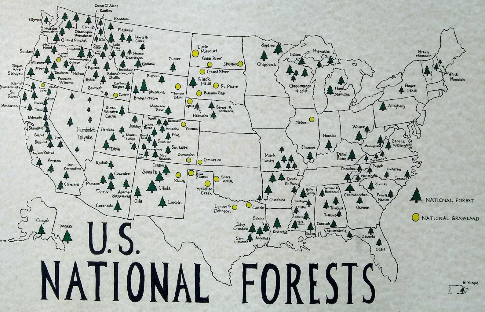 U.S. National Forests Map - Etsy