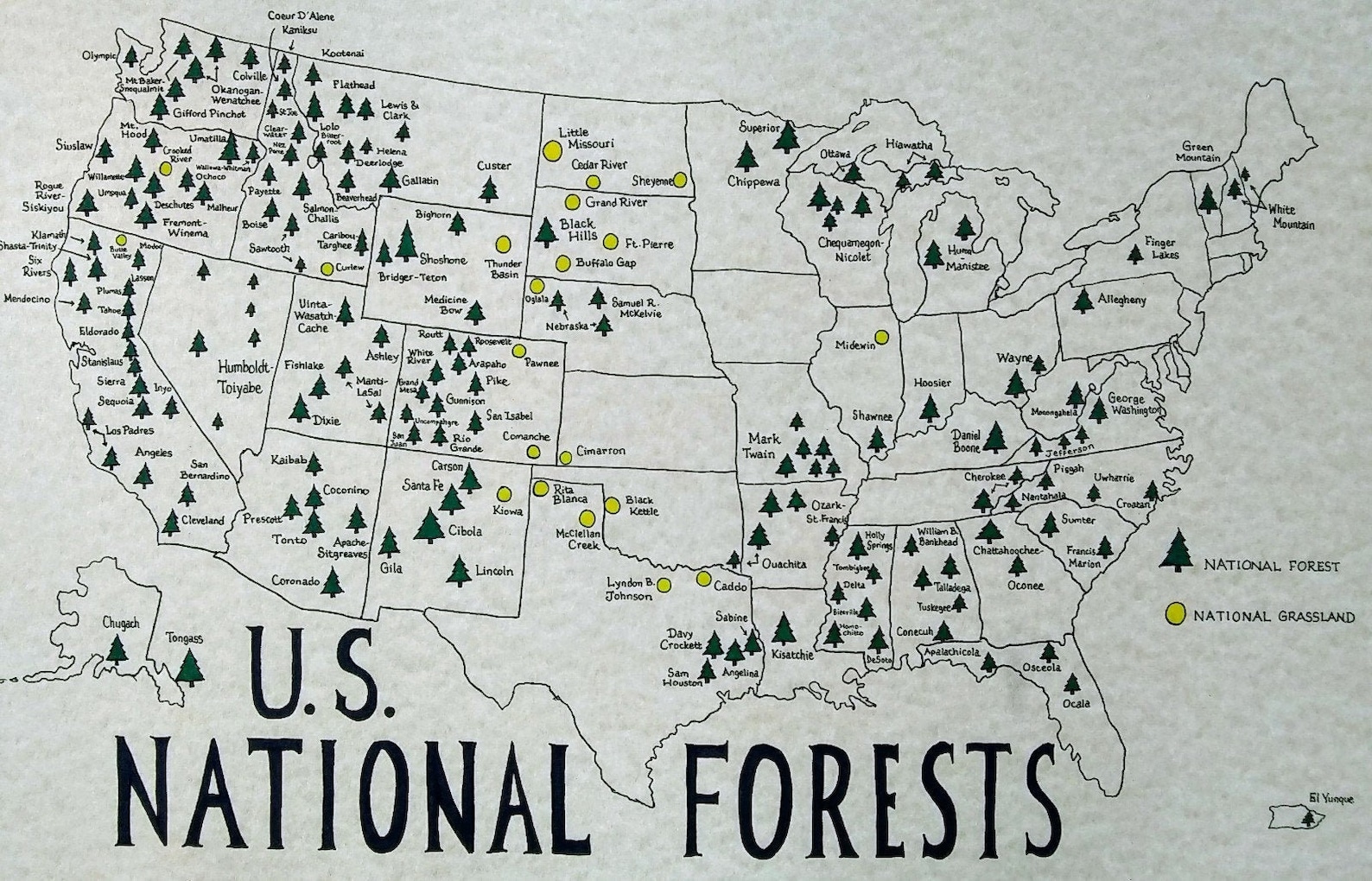 U.S. National Forests Map - Etsy