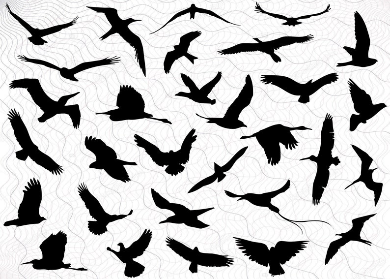 Files for Cricut Dxf Flying Birds Vector Png Clipart Flying Birds Cut Files For Silhouette Eps Flying Birds SVG Bundle Svg