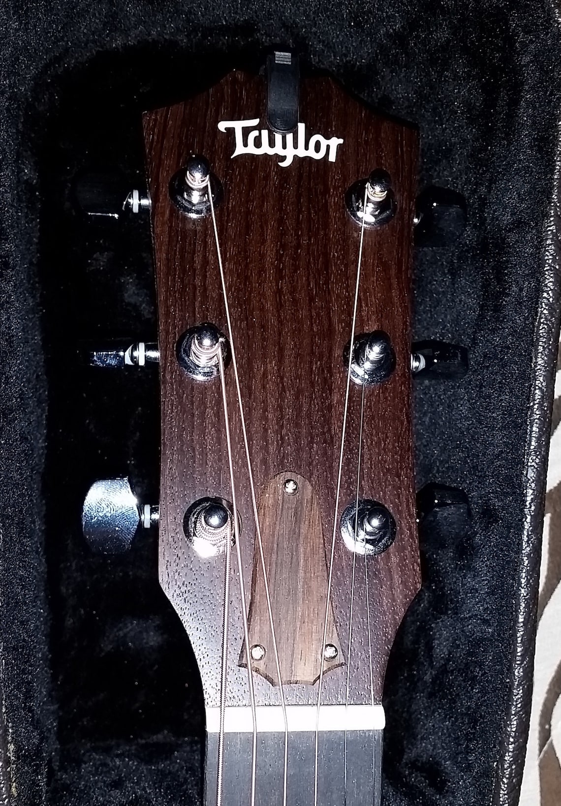 Truss rod cover plate