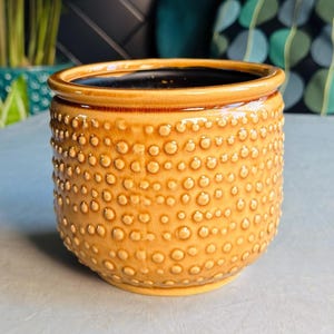 HONEY Deep YELLOW Plant POT | Patterned Glazed Pot | Round Dotted Shape | No Drainage Hole | Stunning Planter | Earthenware | Indoor Use