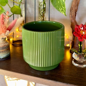 May include: A green ceramic plant pot with vertical ribbed detailing. The pot contains a leafy green plant. Other decorative items on a wooden shelf include glass vases, a red flower, and a decorative lantern.
