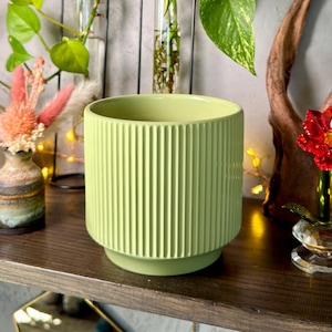 May include: A pale green, ribbed ceramic plant pot with a circular base. The pot is empty and is displayed on a dark wooden shelf, with other decorative items and plants. The background is a light grey wall.