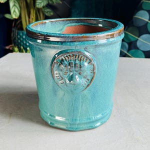May include: A turquoise ceramic plant pot with a textured finish and a decorative emblem. The pot has a brown rim and a round shape, suitable for indoor or outdoor use. The pot is approximately 15 cm tall.