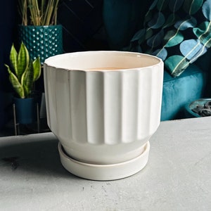 May include: A cream-coloured ceramic plant pot with a ribbed design and a matching saucer. The pot is cylindrical with vertical grooves. It sits on a light grey surface. The background includes plants and dark blue furniture.