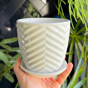 May include: A white ceramic plant pot with a chevron design, held in front of a dark blue tiled wall. The pot has a matching saucer. Green plants are visible in the background, providing a natural contrast.