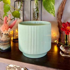 May include: A pale green ceramic plant pot with vertical grooves. It's on a dark wooden shelf, next to small vases with plants and a decorative red flower in a glass holder. The shelf is lit by small fairy lights, creating a warm ambiance.