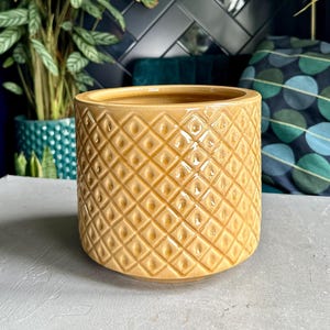 May include: A yellow ceramic plant pot with a diamond pattern. The pot is cylindrical and sits on a grey surface. Green plants are visible in the background, with a dark blue tiled wall.