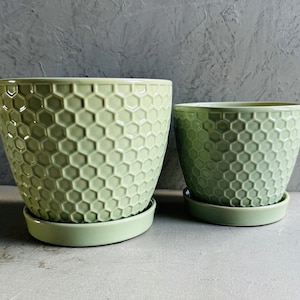 May include: Two green ceramic plant pots with a honeycomb pattern. The larger pot is on the left and the smaller pot is on the right.