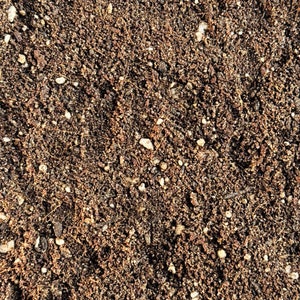 May include: Close-up of a pile of dark brown soil with small white and brown particles mixed in.