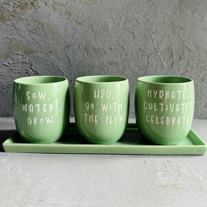 May include: Three green ceramic planters with white lettering. The planters have the following text: "Sow, Water, Grow", "H2O, Go With The Flow", and "Hydrate, Cultivate, Celebrate".