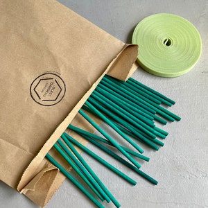 PLANT SUPPORT SET | Plant Sticks Plus Velcro Tie Tape | Mini Turquoise Stakes | Green Tape | Professional Tools | Botanical Accessories