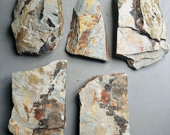 PREMIUM LARGE RUSTIC Slabs | Terrarium Supplies | Decorative Rocks | Landscaping for Terrarium, Aquarium, Vivarium, Paludarium and Crafts