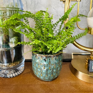 May include: A small, vibrant green fern plant in a teal and gold patterned ceramic pot. The pot has a glossy finish. The plant is positioned on a brown surface, with a clear glass bottle and a gold-coloured hourglass in the background.