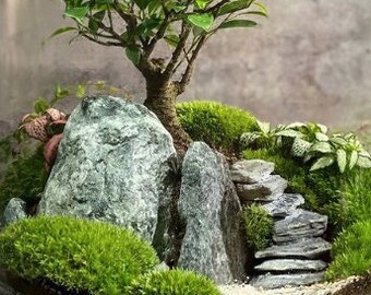 BONSAI MOUNTAIN ROCKS | Premium Decorative Bonsai Rocks | Terrarium Supplies Mix | Landscaping Decoration Stones | Mini Rockery Set