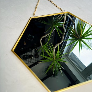 May include: A hexagonal mirror with a gold frame and a chain for hanging. The mirror reflects a green plant and a window.