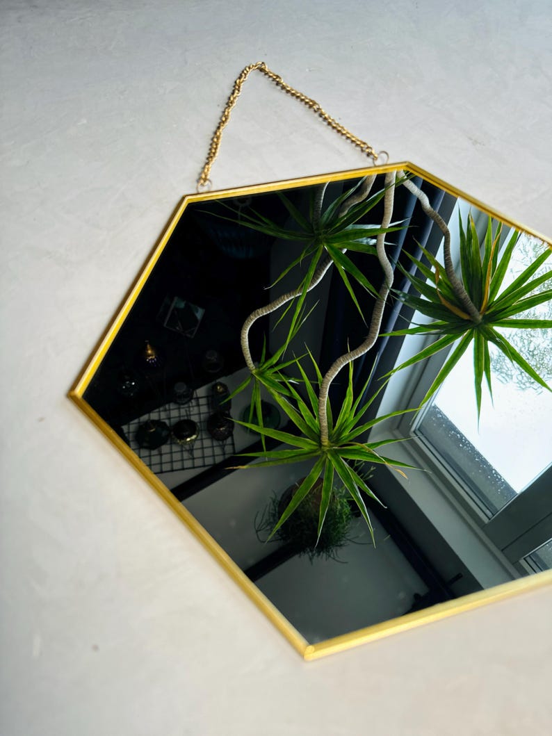 May include: A hexagonal mirror with a gold frame and a chain for hanging. The mirror reflects a green plant and a window.