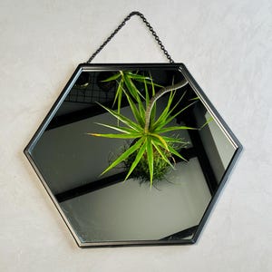 May include: A black hexagonal mirror with a chain for hanging. The mirror reflects a green plant.