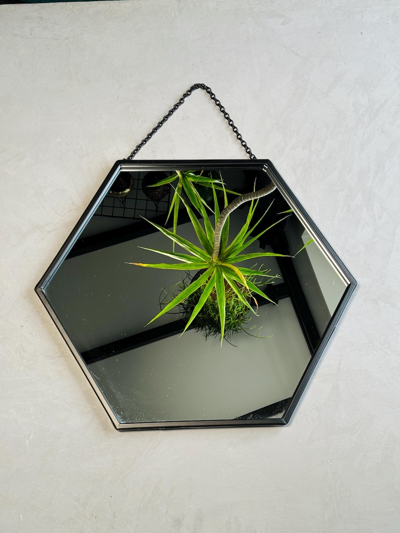 May include: A black hexagonal mirror with a chain for hanging. The mirror reflects a green plant.